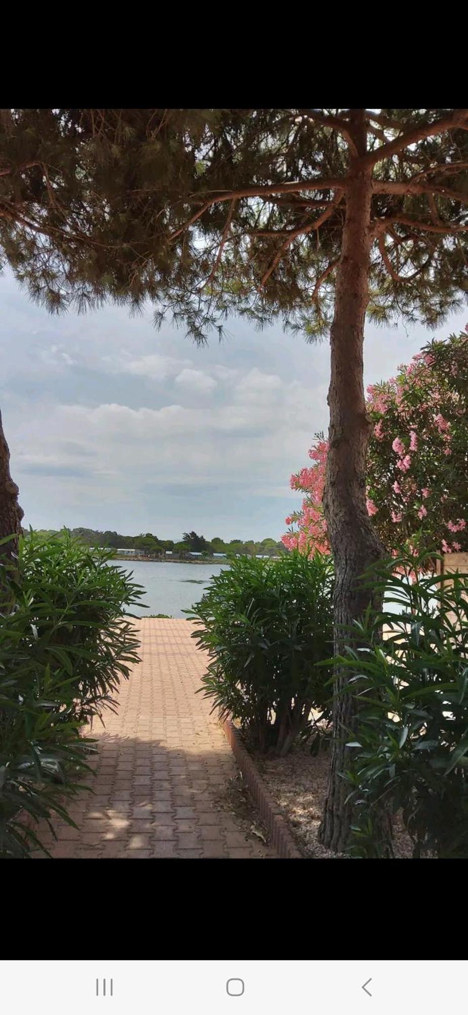 Villa 6P Piscine Spa Privatif Wifi Proche Des Plages Le Barcarès Zewnętrze zdjęcie